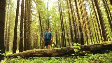 一个游客在森林中的一棵倒下的树<strong>上台</strong>阶。